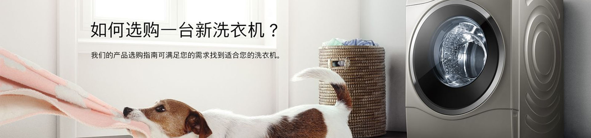欄目幻燈一(yī)